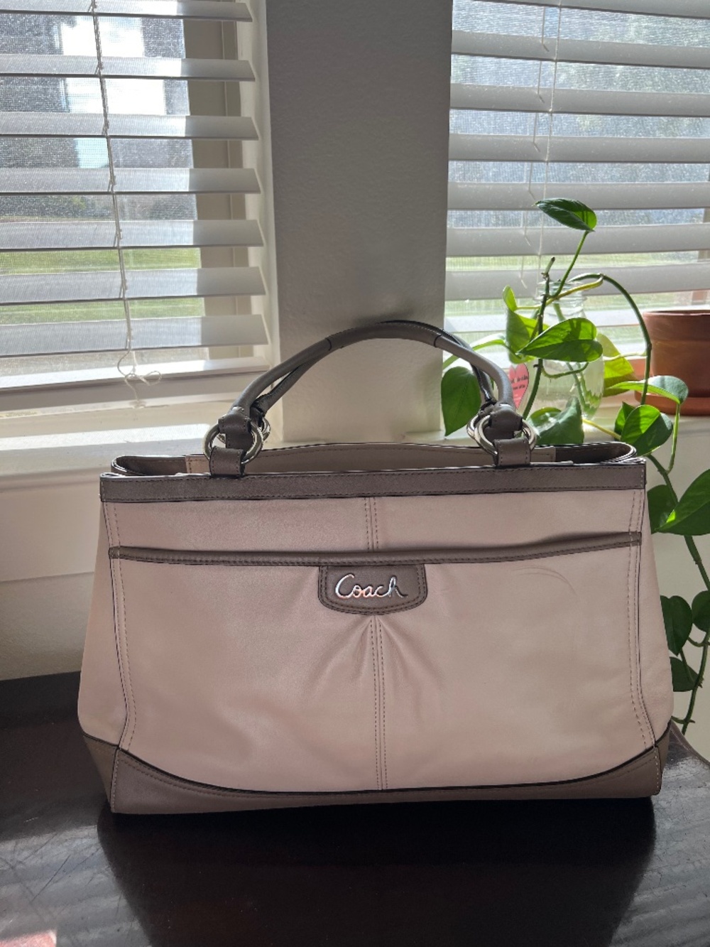 Coach bag